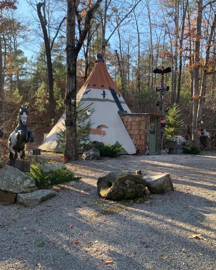 Fox Pass Cabins Bed & Breakfast ฮอตสปริงส์ ภายนอก รูปภาพ