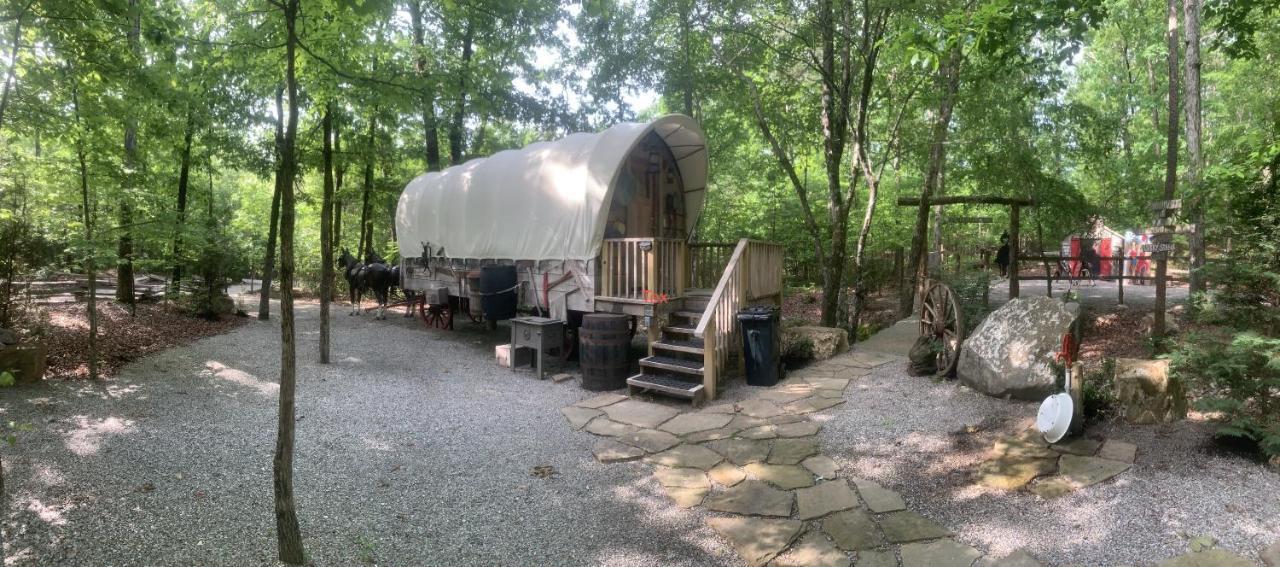 Fox Pass Cabins Bed & Breakfast ฮอตสปริงส์ ภายนอก รูปภาพ