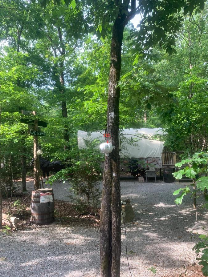 Fox Pass Cabins Bed & Breakfast ฮอตสปริงส์ ภายนอก รูปภาพ